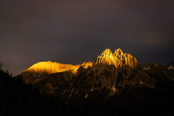 _DSC7799