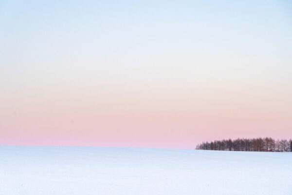 _DSC2471
