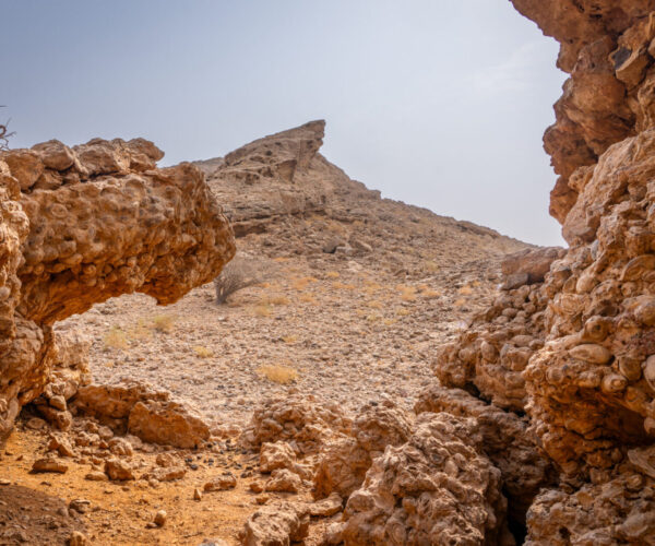 El desierto esconde paisajes llenos de vestigios del pasado